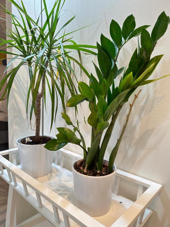 Holiday Travel Apartments Stockholm Eksteriør bilde
